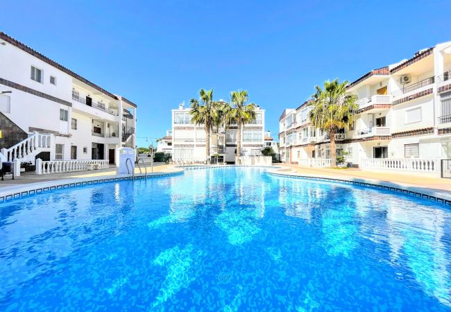 Appartement in Torrevieja - RENTED! Don Quijote | Long Term Winter Rental in P