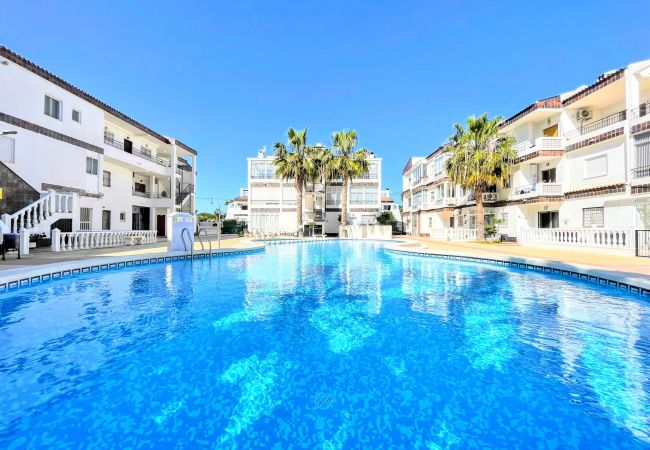 Torrevieja - Appartement