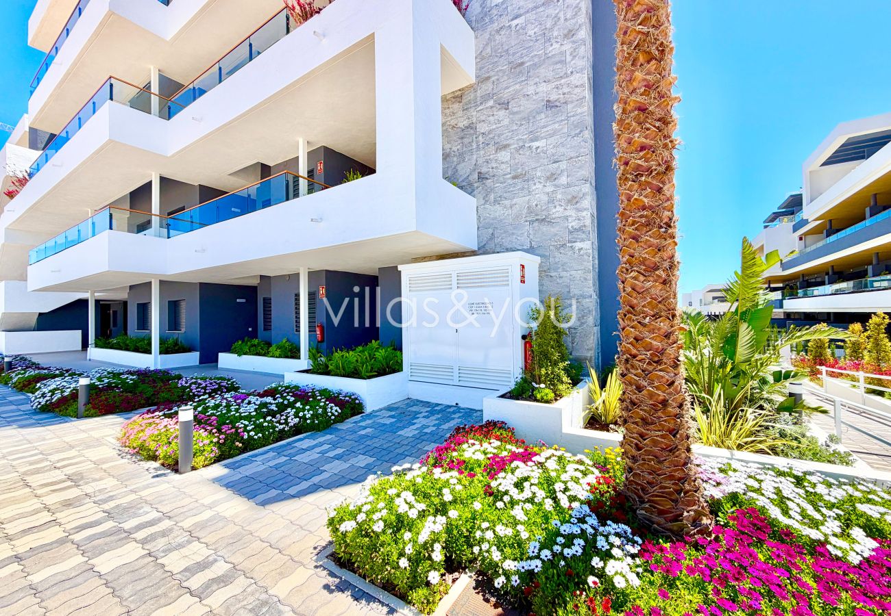 Apartamento en Torrevieja - Lagoons Village 175 | Alquiler de invierno en Torrevieja