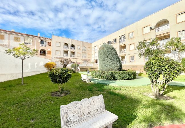 Appartement à Torrevieja - Godisa | Long Term Winter Rental in Torrevieja