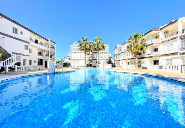 Apartment in Torrevieja - Caballito de Mar | Long Term Winter Rental Punta P