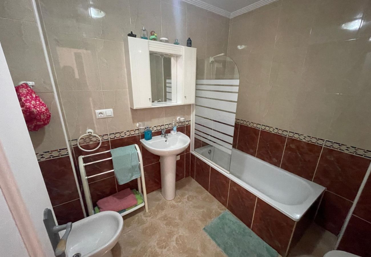 Apartment in Torrevieja - Europa | Long term winter rental in Torrevieja