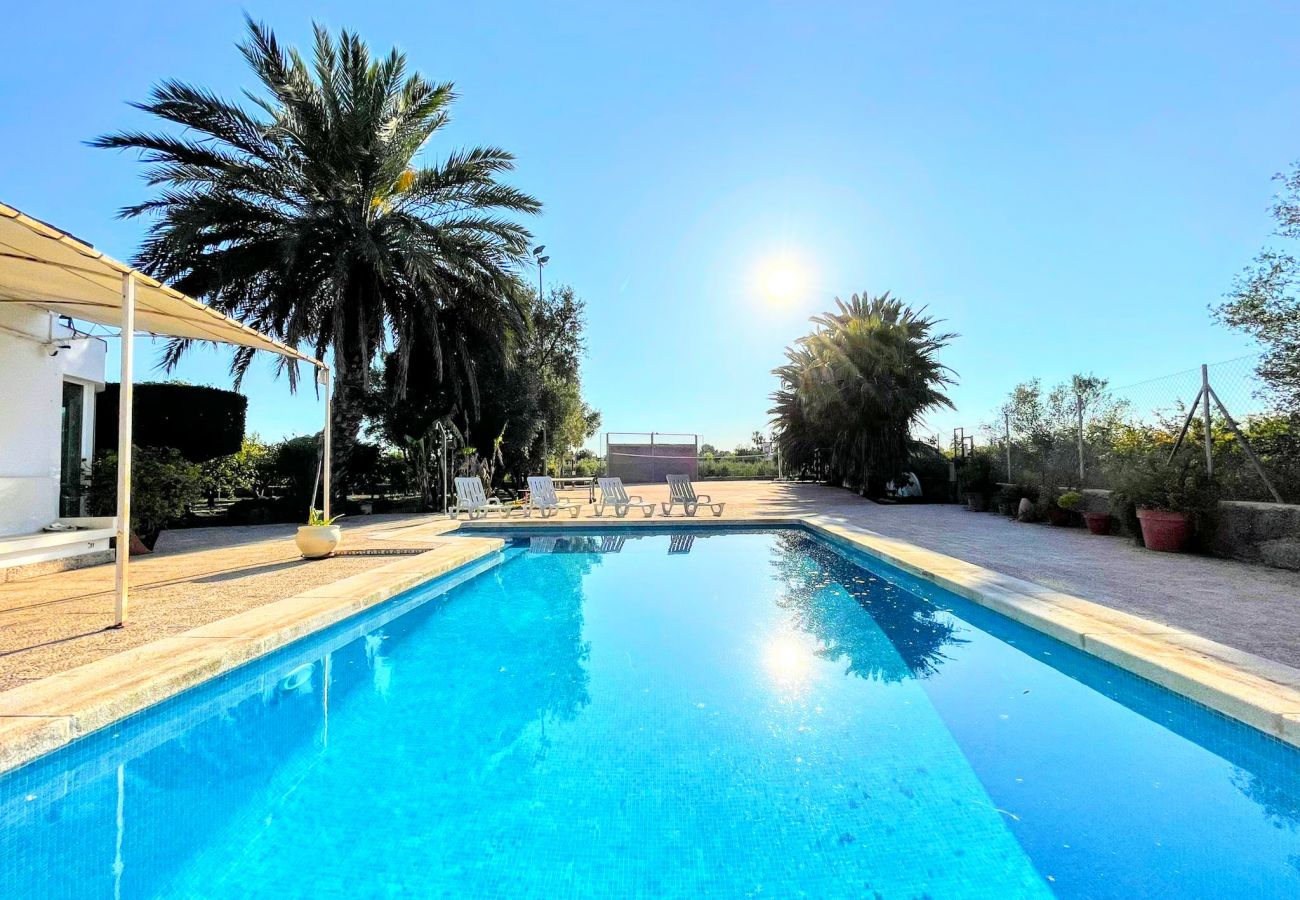 Villa in Elche - Villa Valverde by Villas&You