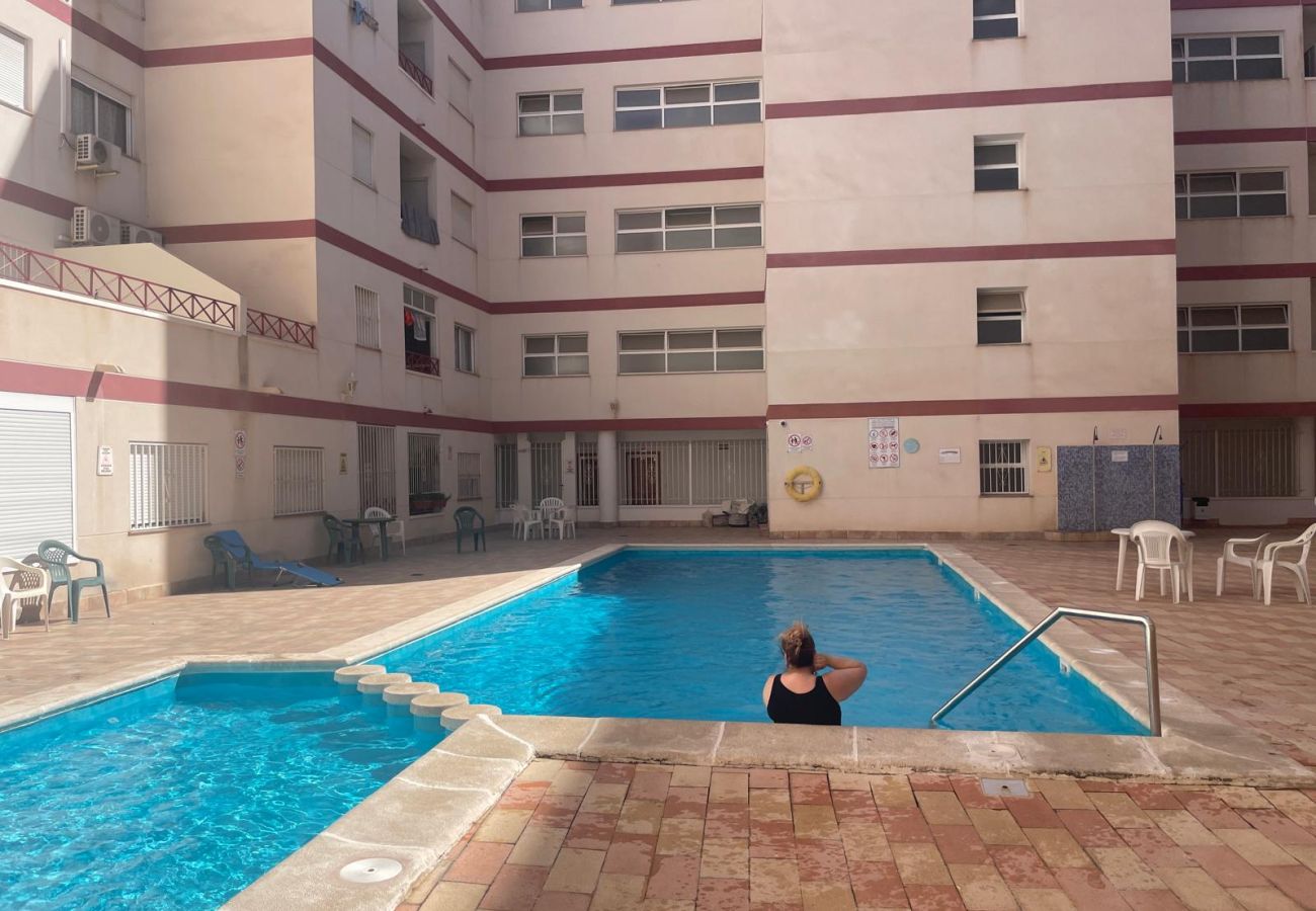 Lägenhet i Torrevieja - Europa | Långtidsuthyrning på vintern i Torrevieja
